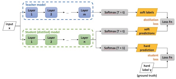 Training the student model via knowledge distillation Training the student model via knowledge distillation